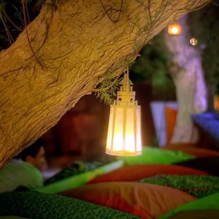 Resort Peda Gumbet Holiday Beach Bodrum