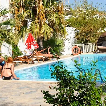 Peda Gumbet Holiday Beach 3* Bodrum